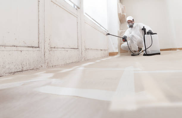 24/7 Emergency Mold Remediation experts in Plainview, TX